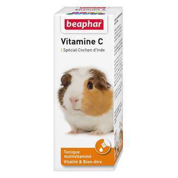 Vitamine C cochon d?Inde : 100 ml