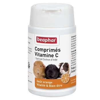 Comprimés vitamine Ccochons dInde - 100 c