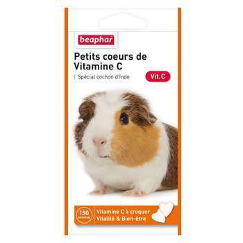 Complément alimentaire cochon d'inde - vitamine c