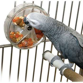 Roue distributrice de friandises pour oiseau : dia