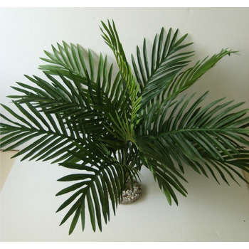 Décor terrarium : palmier, plastique, h.50cm