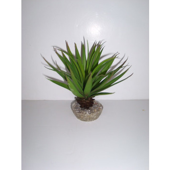Plante artificielle terrarium : succulente 2