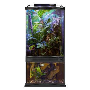 Paludarium  L30xl30xH60cm  15L