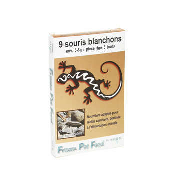 Souris blanchons 5 jours: 5-6g/pièce