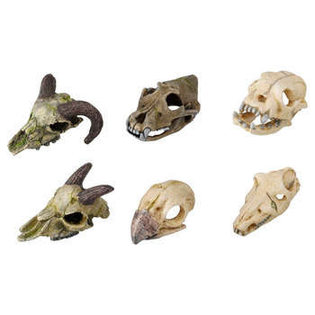 Décoration d'aquarium, Skull taille mini - L. 10xl
