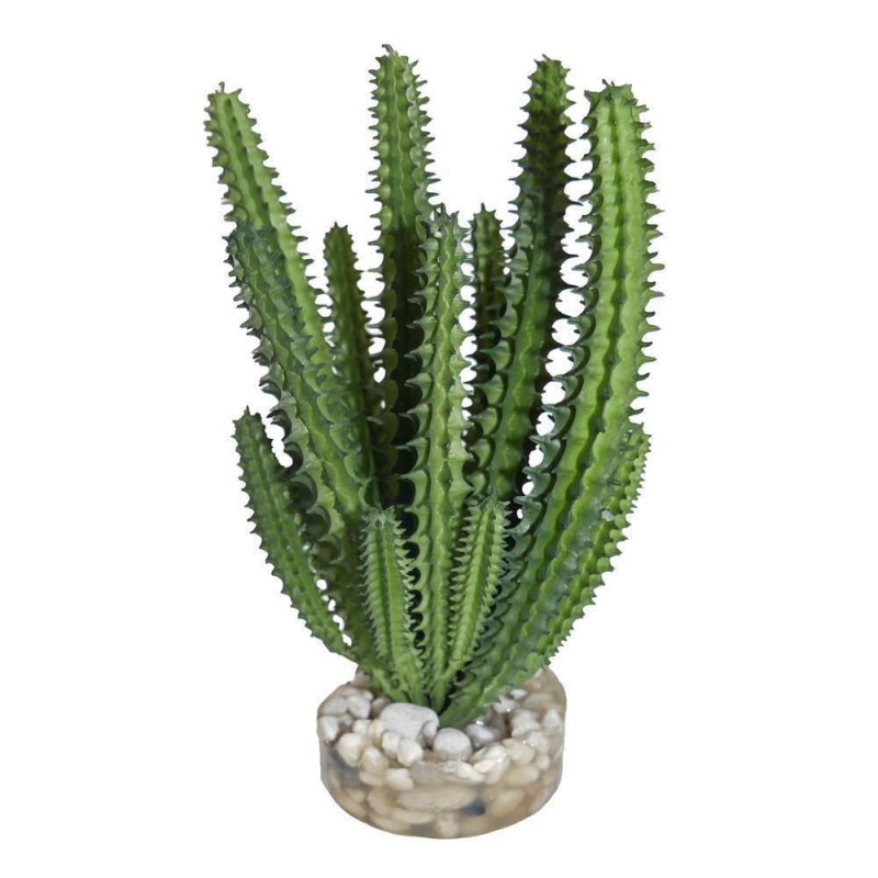 Plante artificielle terrarium : succulente 4