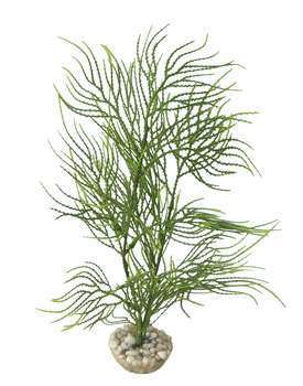 Plante artificielle aquarium : Asparagus 33cm