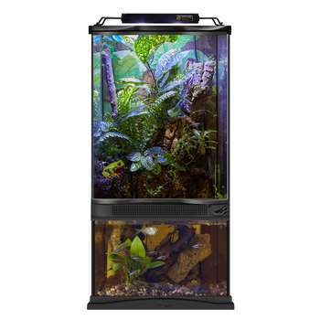 Paludarium pour poissons, reptiles et amphibiens -