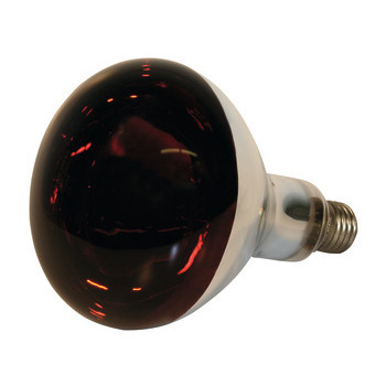 Lampe Kerbl IR 150W rouge, verre de sécurité