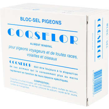 Cloqselor/pigeons : bloc sels minéraux
