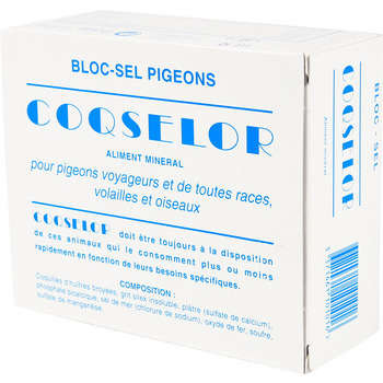 Cloqselor/Pigeons: Bloc sels minéraux