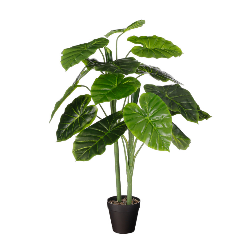 Plante artificielle : Alocasia en pot vert - H. 10