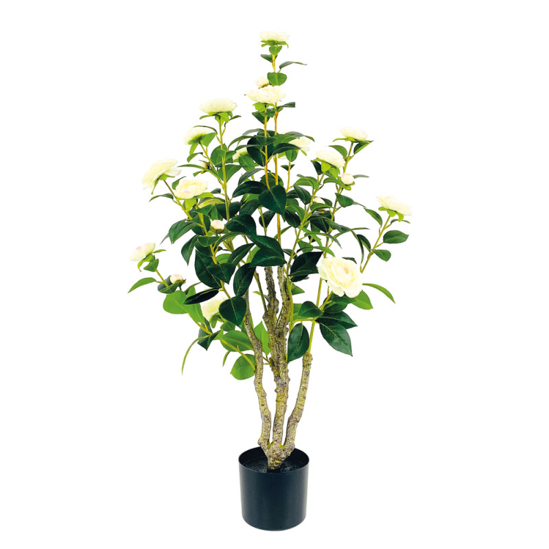 Fleurs artificielles - camelia blanc en pot H. 102