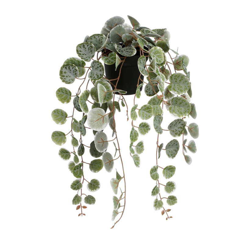 Plante artificielle retombante 'Ceropegia', vert p