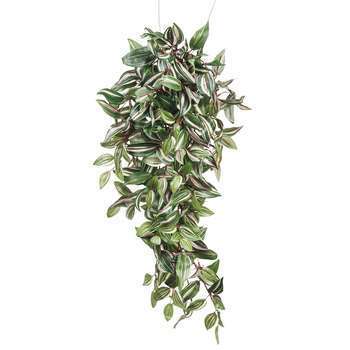 Chute de tradescantia, vert L. 80 x l. 30 x H. 15