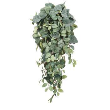 Chute pilea : vert, 70x30cm h.90cm