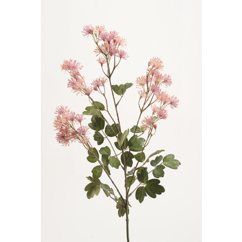 Tige brin meadow, rose H. 70 cm