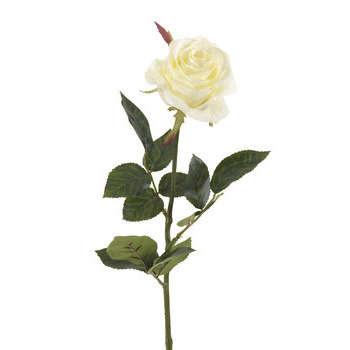 Tige rose simone, blanc H. 73 cm