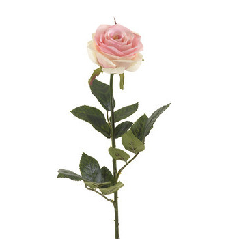 Tige rose : rose clair, 73cm