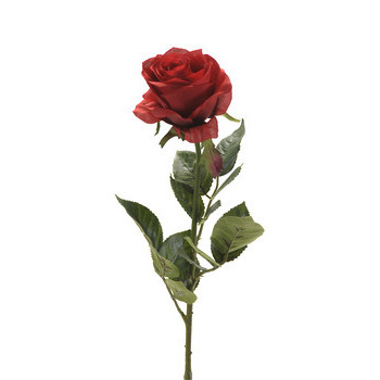 Tige rose : rouge, 73cm