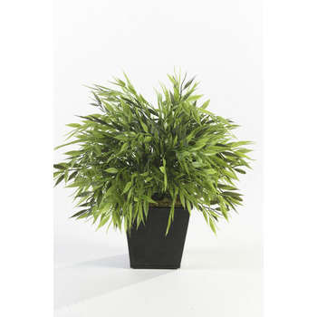 Bambou mix H. 25 cm