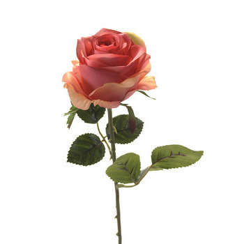 Tige rose : rose,  45cm