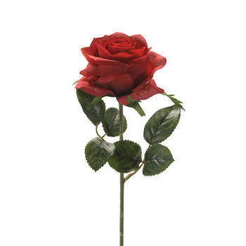 Tige rose simone, rouge H. 45 cm