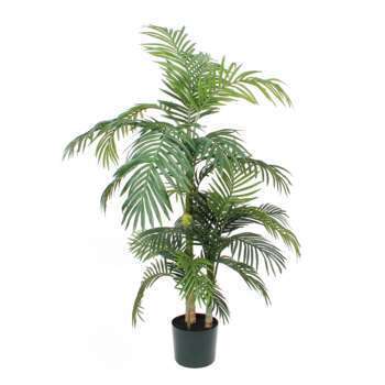 Palmier golden cane en pot, vert Ø 100 x H. 150 cm