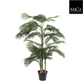 Palmier golden cane en pot, vert Ø 145 x H. 190 cm