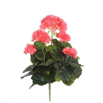 Piquet geranium, saumon Ø 20 cm