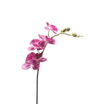 Tige orchidée 5 fleurs : rose, 75cm