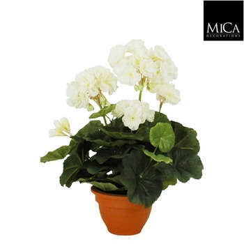 Geranium en pot Ø 11,5 cm, crème Ø 23 x H. 32 cm