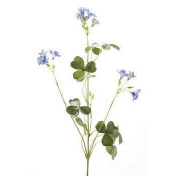 Tige oxalis : bleu, 57cm