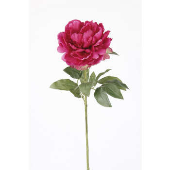 Tige Pivoine artificiell, fuchsia H. 65 cm