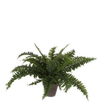 Plante artificielle : Pot Fougère D. 13,5 x H. 42
