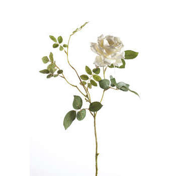 Tige artificielle Dianna Rose : crème, 75 cm
