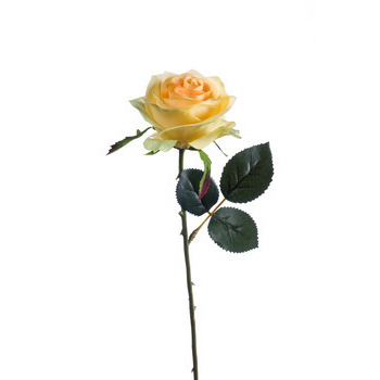 Tige de rose simone, H.45 : jaune