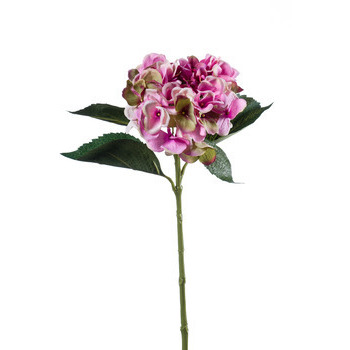 Tige Hydrangea Stem : polyéthylène vert 53cm