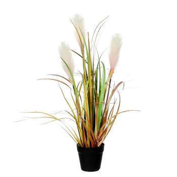 Plante en pot roseau marron D. 10xH. 53cm