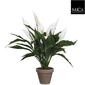 Spathiphyllum artificiel blanc Ø 40 x H. 50 cm, en