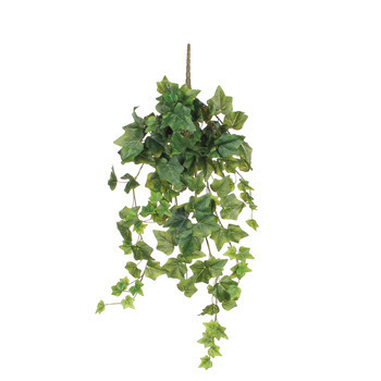 Lierre artificiel à suspendre, vert L. 71cm