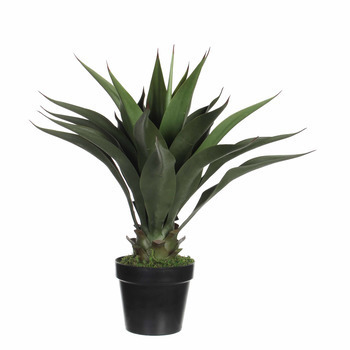 Agave artificiel, en pot H60cm