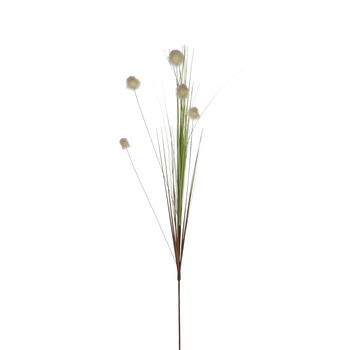 Tige herbe pom pom blanc H. 84 cm