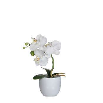 Pot phalaenopsis blanc artificiel H.26 cm