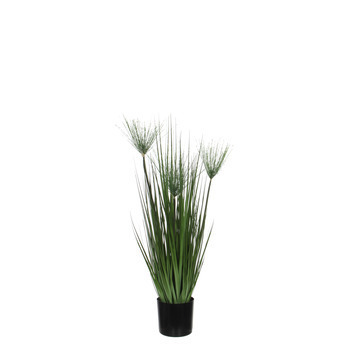 Papyrus artificiel, en pot D12,5 x H. 76 cm