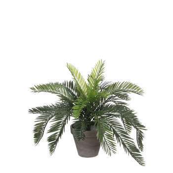 Plante artificielle : Pot cycas D. 13,5 x H. 37 cm