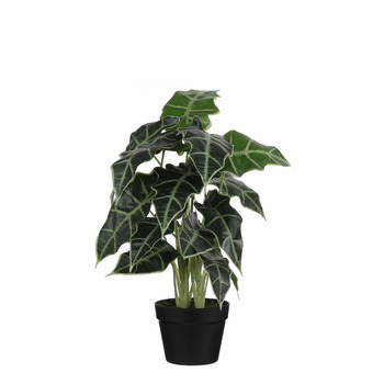 Pot alocasia artificiel H.60 cm