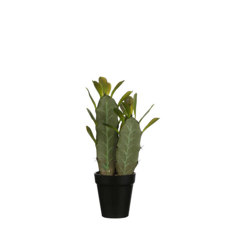 Cactus Vert en pot plastique H32xd9. 5cm