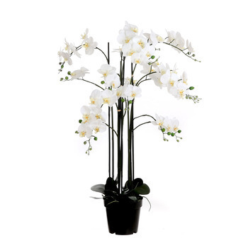 Plante artificielle : Pot phalaenopsis blanc D. 35