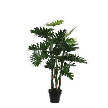 Plantes Philodendron en pot H. 100xD. 70cm